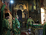 В день памяти преподобного Никона, игумена Радонежского епископ Шахтинский и Миллеровский Симон совершил Божественную литургию в Покровском кафедральном соборе г. Шахты