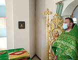 В Свято-Троицком храме х. Ягодинка Нижнедонского благочиния отметили престольный праздник