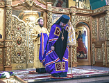 Епископ Шахтинский и Миллеровский Симон совершил воскресную Божественную литургию и диаконскую хиротонию в Покровском кафедральном соборе г. Шахты