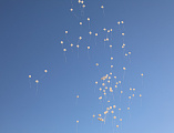 В день памяти и скорби в Покровском кафедральном соборе провели памятное мероприятие и совершили молитву об упокоении жертв Великой Отечественной войны