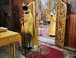В день перенесения мощей святителя Петра, митрополита Московского Леонид Зацепилин совершил чин молебного пения о сохранении творения Божия