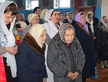 Подари тепло добрых сердец