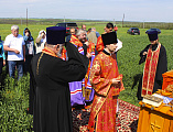 Преосвященнейший епископ Симон совершил «Чин освящения насеянных полей» в Октябрьском сельском районе Ростовский области