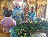 Голуби над храмом в честь Донской иконы Божией Матери г. Новошахтинска