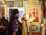 Преосвященнейший епископ Симон возглавил воскресное богослужение в Покровском храме г. Новошахтинска и совершил две хиротонии