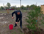 Прихожане храма Архангела Михаила села Первомайского озеленили прилегающую территорию