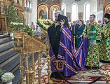 В День Святой Троицы, Пятидесятницы Преосвященнейший епископ Симон совершил Божественную литургию в Покровском кафедральном соборе г. Шахты