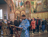 Покровский кафедральный собор города Шахты отметил престольный праздник