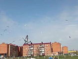Голуби над храмом в честь Донской иконы Божией Матери