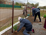Прихожане храма Архангела Михаила села Первомайского озеленили прилегающую территорию