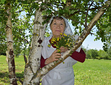 Сестры Марфо-Мариинского сестричества храма Архистратига Михаила пос. Каменоломни приняли участие во Всероссийской акции «Дом там, где береза»