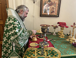 В праздник Пятидесятницы Преосвященнейший епископ Симон совершил Божественную литургию в храме Святой Троицы города Каменск-Шахтинский