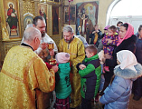 В Свято-Андреевском храме г. Миллерово молитвенно отметили Крещение Господне
