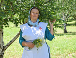 Сестры Марфо-Мариинского сестричества храма Архистратига Михаила пос. Каменоломни приняли участие во Всероссийской акции «Дом там, где береза»