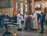В праздник Крещения Господня Преосвященнейший епископ Симон совершил Литургию, чин Великого освящения воды и диаконскую хиротонию в Покровском кафедральном соборе г. Шахты