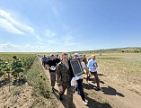 В честь праздника Смоленской иконы Божией Матери в Боковском районе состоялся крестный ход