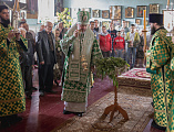 В праздник Входа Господня в Иерусалим епископ Симон совершил богослужение в храме Вознесения Господня города Шахты