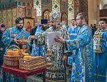 В праздник Сретения Господня Преосвященнейший епископ Симон совершил Божественную литургию в Покровском кафедральном соборе г. Шахты