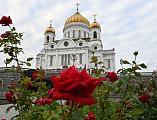 В праздник Успения Пресвятой Богородицы Преосвященнейший епископ Симон сослужил Святейшему Патриарху Кириллу в Храме Христа Спасителя. За богослужением совершена хиротония архимандрита Артемия (Кузьмина) во епископа Таганрогского