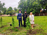 В 79-ю годовщину Великой Победы воспитанники кадетского корпуса высадили деревья