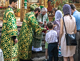 В День Святой Троицы, Пятидесятницы Преосвященнейший епископ Симон совершил Божественную литургию в Покровском кафедральном соборе г. Шахты
