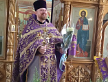 Прихожане поздравили настоятеля Донского храма г. Новошахтинска священника Романа Амплеева с одиннадцатилетием служения в сане протоиерея.