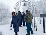 День памяти воинов-афганцев