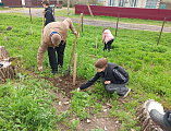 Ученики и учителя Первомайской школы приняли участие в акции «День добрых дел»