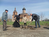 На территории храма Покрова Пресвятой Богородицы сл. Никольской прошла высадка саженцев