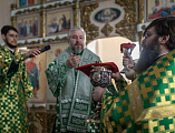 В праздник Входа Господня в Иерусалим епископ Симон совершил богослужение в Покровском кафедральном соборе города Шахты