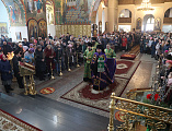 В праздник Входа Господня в Иерусалим в Покровском кафедральном соборе г. Шахты состоялось праздничное богослужение, которое совершил епископ Шахтинский и Миллеровский Симон