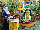 В Свято-Андреевском храме города Миллерово в праздник Святой Троицы наградили волонтеров православной группы «Мы вместе»   