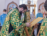 В престольный праздник Преосвященнейший епископ Симон совершил Божественную литургию в храме святого благоверного князя Александра Невского города Шахты