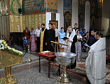 Епископ Шахтинский и Миллеровский Симон совершил таинство Крещения над первенцем семьи старшего иподиакона