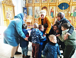 Под Покровом Пресвятой Богородицы