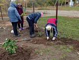 Прихожане храма Архангела Михаила села Первомайского озеленили прилегающую территорию