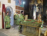 Шахтинская епархия молитвенно отметила 11-летие архиерейской хиротонии епископа Шахтинского и Миллеровского Симона