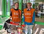 В Новошахтинске прошла акция «Корзина доброты»: собрано 500 кг продуктов